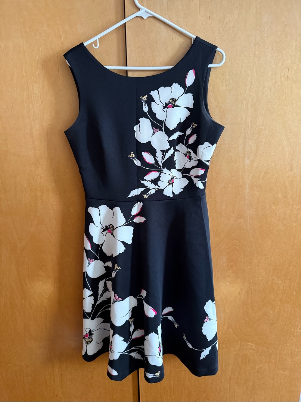 Black Floral Fit & Flare Dress - White and Pink Blooms
